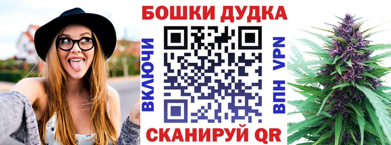 Где купить наркотики Заволжье Псилоцибиновые грибы  Cocaine  ГАШИШ  МЕФ  hydra ONION  Канабис 