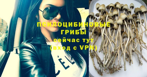 МДПВ Балахна